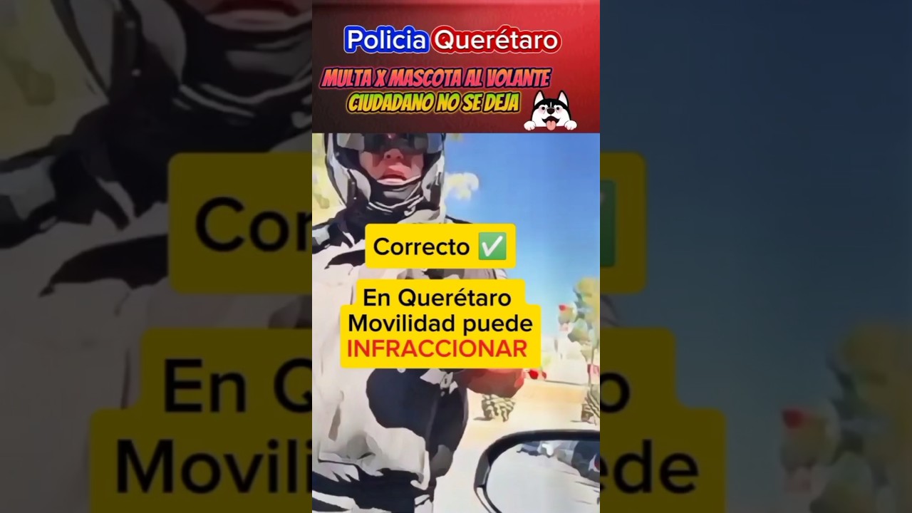Multa x mascota al Volante #policia #noticias