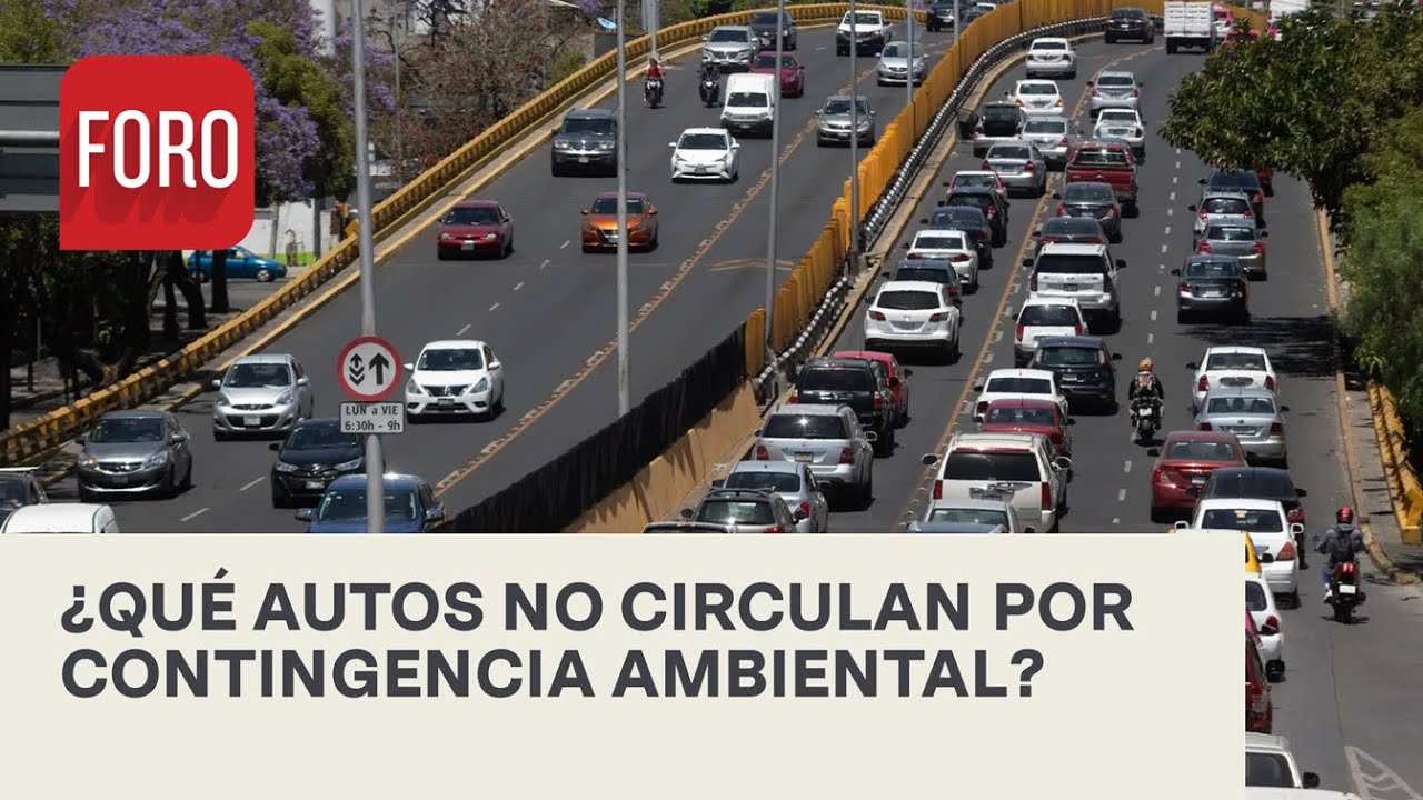 ¿Qué carros no circulan hoy? – Las Noticias