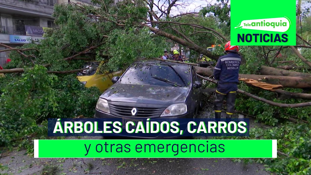Árboles caídos, carros atrapados y otras emergencias – Teleantioquia Noticias