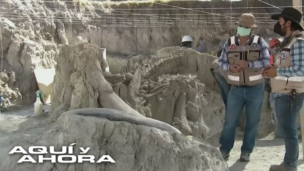Descubrimiento arqueológico: las máquinas excavadoras desenterran un secreto oculto por 14 mil años en México