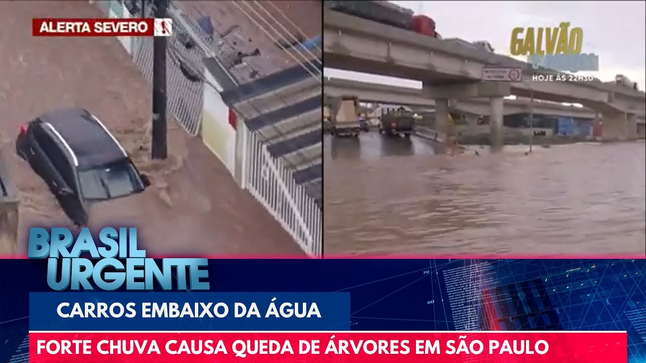 Forte chuva causa queda de árvores em São Paulo | Brasil Urgente