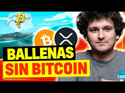 Noticias Criptomonedas ✊Ballenas sin Bitcoin | Bentley | MCC | XRP | NFT | CEX | Autos | Jubilación
