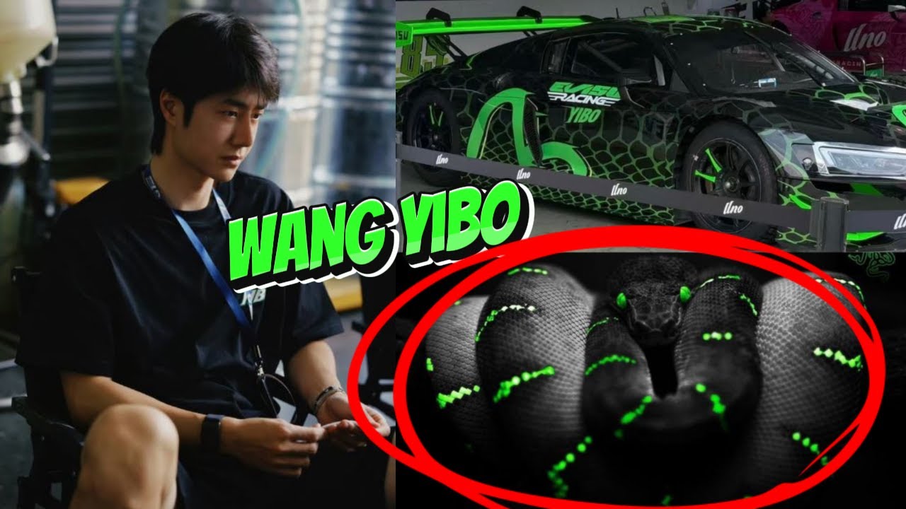 🚗 王一博的赛车蜕变 黑绿蛇皮 – 精致的巅峰！ 🏎️🐍✨ #YIBO85  #wangyibo